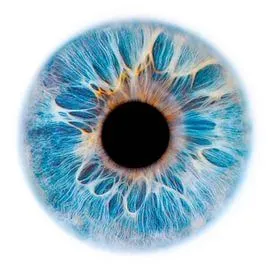 WellScan Life — неинвазивен мониторинг